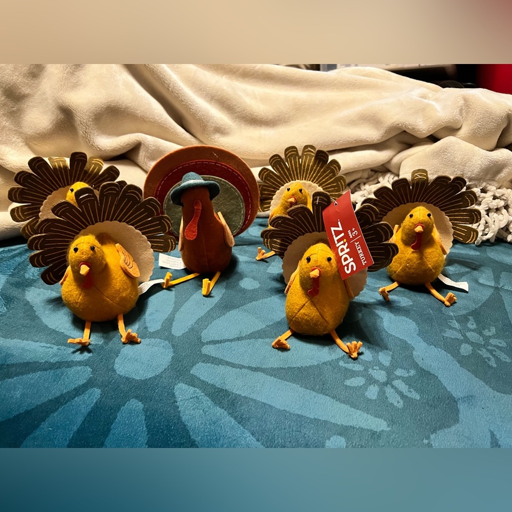 🔥price drop 🔥Set of 7 turkey.  All NWT.